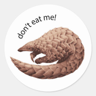 Rond Sticker Pangolin