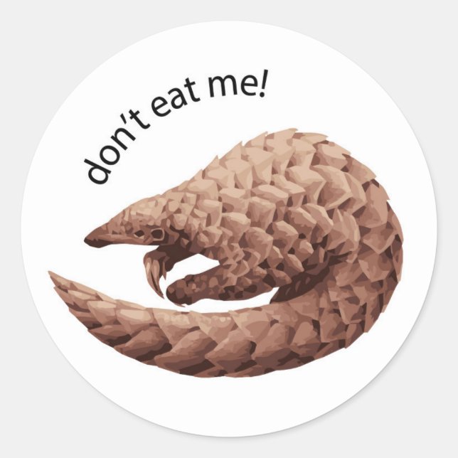 Rond Sticker Pangolin (Devant)
