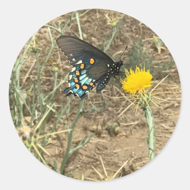 Rond Sticker papillon (Devant)