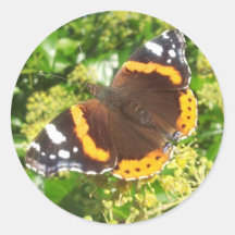 Sticker Papillon, Sticker