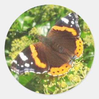 Rond Sticker Papillon, Sticker