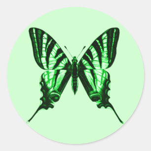Rond Sticker papillon vert