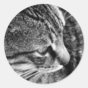 Rond Sticker photo de chat noir et blanc