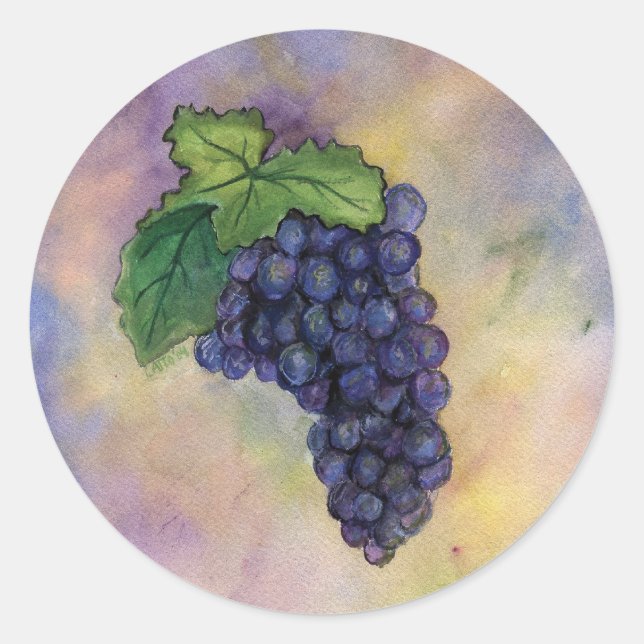 Rond Sticker Pinot Noir Vins (Devant)