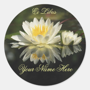 Rond Sticker plaque nénuphar