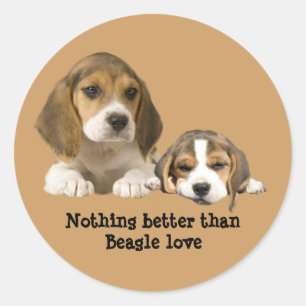 Rond Sticker pour beagle Buddies