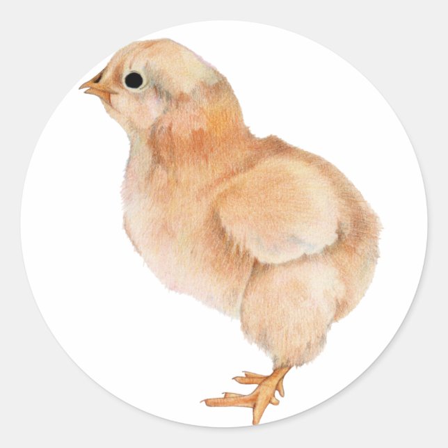 Rond Sticker pour bébé poussette (Devant)