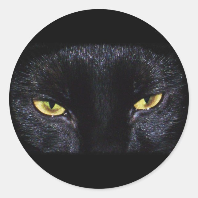 Rond Sticker pour chat noir Halloween (Devant)