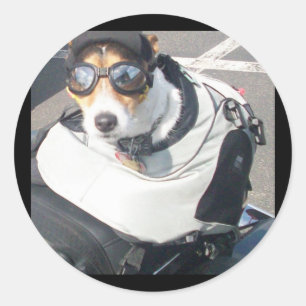 Rond Sticker pour chien de porc