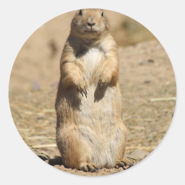 Rond Sticker pour chien des Prairies (Devant)