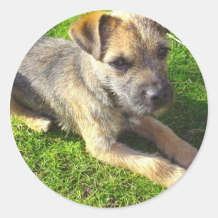 Rond Sticker pour chiot Terrier