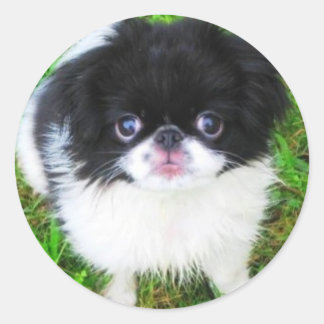 Rond Sticker pour chiot Yoshi