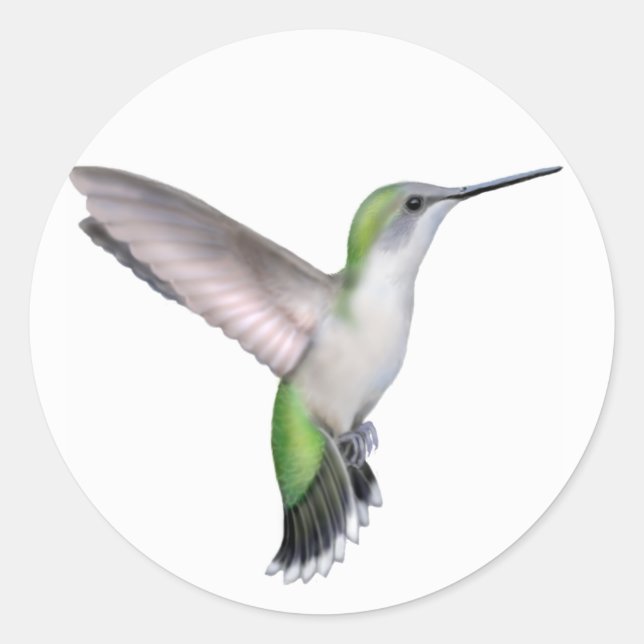 Rond Sticker pour colibri volant Ruby féminin (Devant)