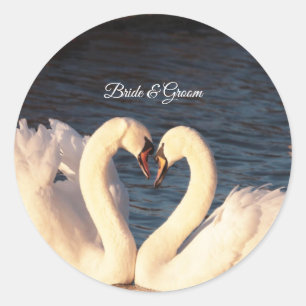 Rond Sticker pour cygnes blancs