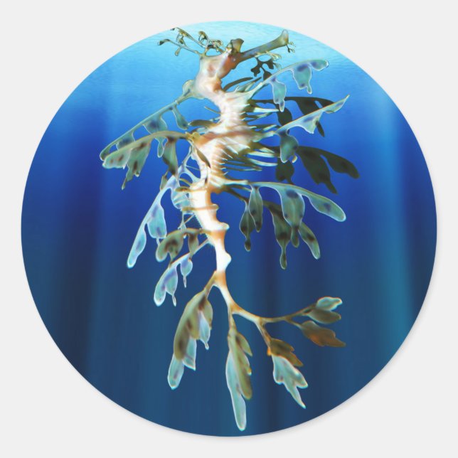 Rond Sticker pour dragon de mer feuilles (Devant)