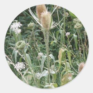 Rond Sticker pour herbes sauvages