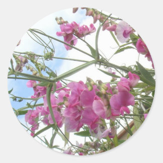 Rond sticker pour pois doux