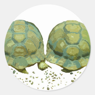 Rond Sticker pour tortues caricaturales