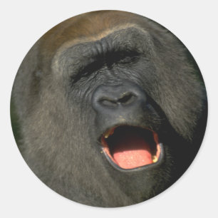 Rond Sticker pour vous de créer votre propre autocollan