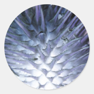 Rond Sticker Princess Wulass Grass Ice