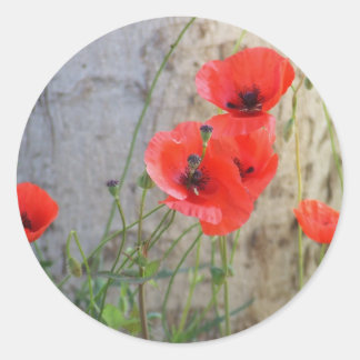 Rond Sticker Red Field Corn Poppies