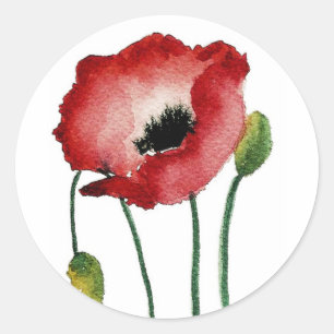 Rond Sticker Red Poppy