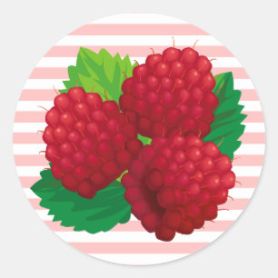 Rond Sticker Red Raspberries