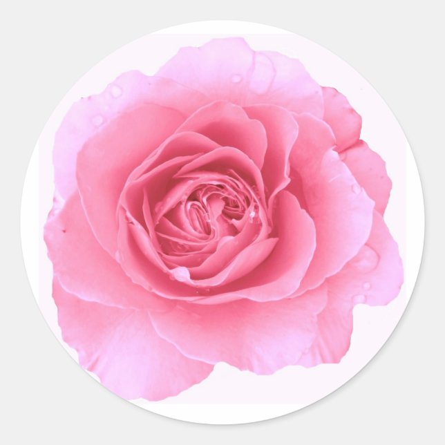 Rond Sticker rose (Devant)