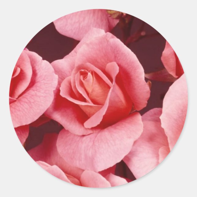 Rond Sticker rose Elegance (Devant)