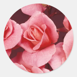Rond Sticker rose Elegance
