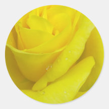 Sticker rose jaune