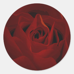 Rond Sticker Rose rouge profond