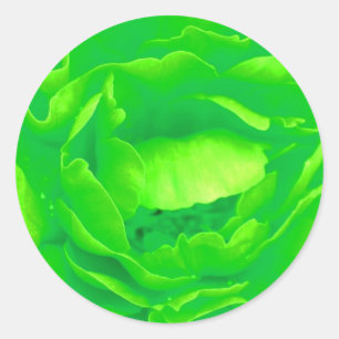 Rond Sticker Rose vert clair - Personnalisable