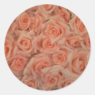 Rond Sticker Roses Rose