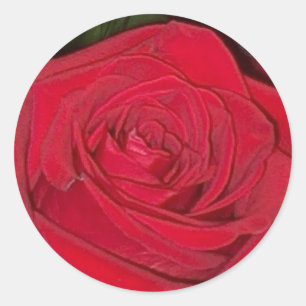 Rond Sticker rouge radiant