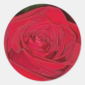 Rond Sticker rouge radiant