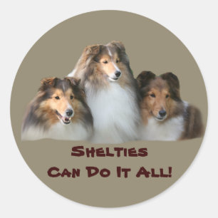 Rond Sticker Sheltie