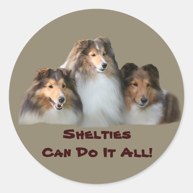 Rond Sticker Sheltie (Devant)