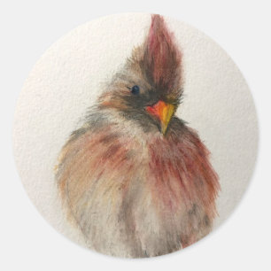 Rond Sticker Shy Red Bird Set d'oeuvres originales