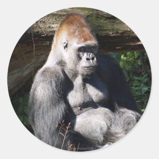 Rond Sticker Silverback