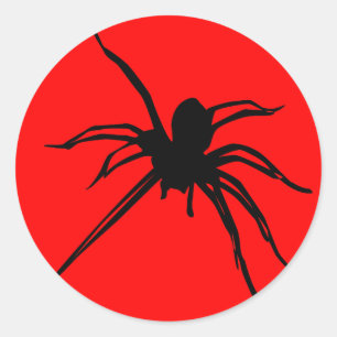 Rond Sticker Spider