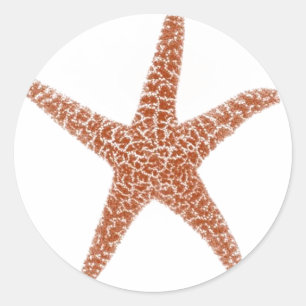 Rond Sticker Starfish