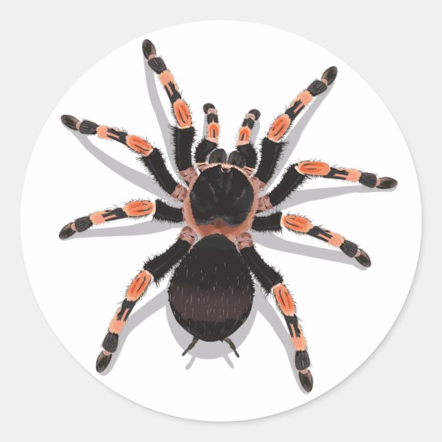 Rond Sticker Tarantula (Devant)