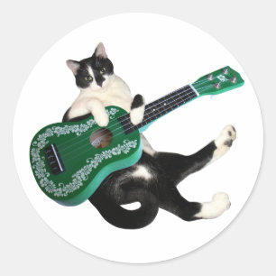 Rond Sticker Ukulele de chat