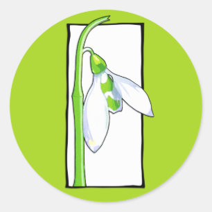 Rond Sticker vert blanc