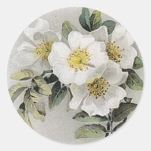 Rond Sticker vintage Apple Blossom