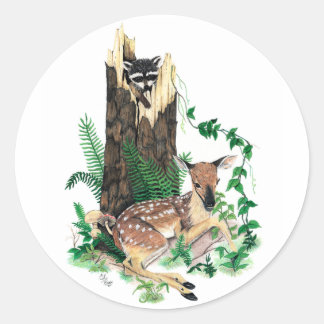 Rond Sticker White Deer Fawn et Raccoon