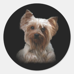 Rond Sticker Yorkshire Terrier