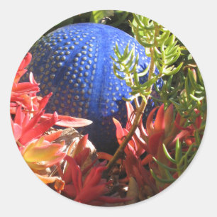 Rond Succulent Jardin Plante avec Sticker Orb