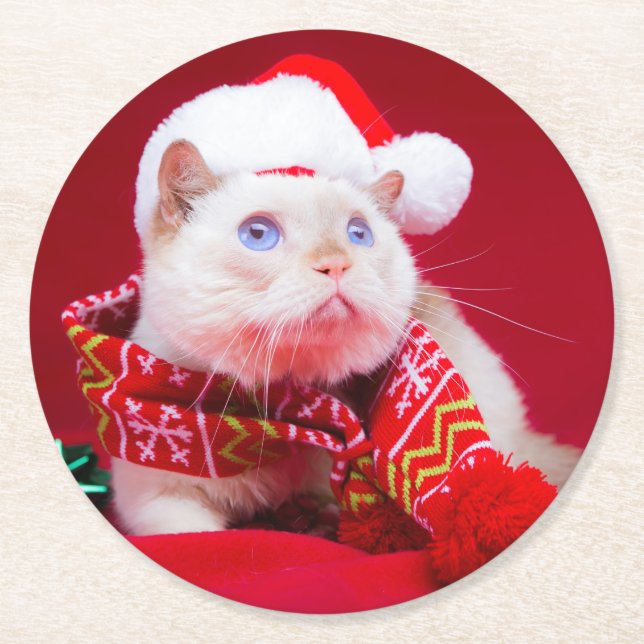 Rond Trident les dessous de verre de chat (Devant)